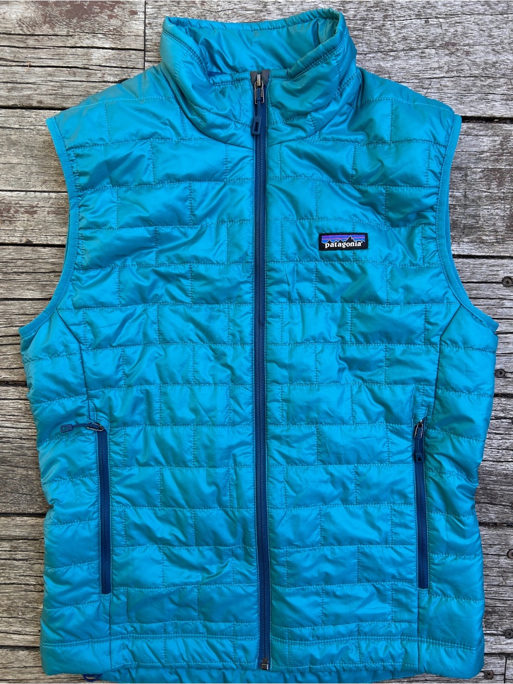 Patagonia Men’s Teal Puffer Vest